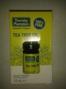 tea tree 1